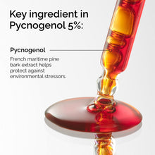 Ingredients of The Ordinary Pycnogenol 5%